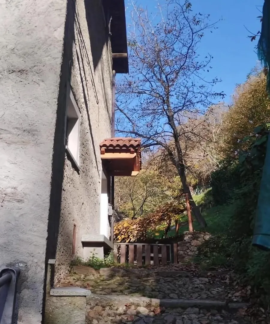 Alpaca'S House: Green, Animals & Lake View Bellano